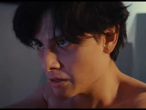 TRAILER REFULGENTE