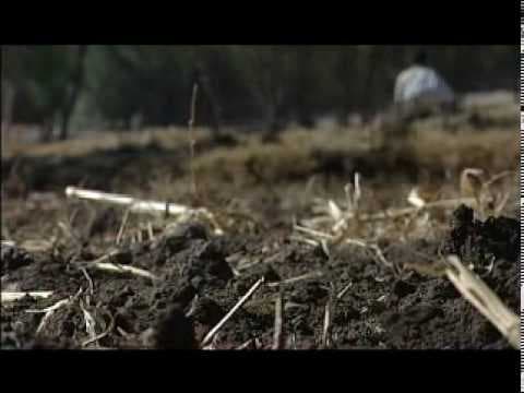 trailer  el  pecado
