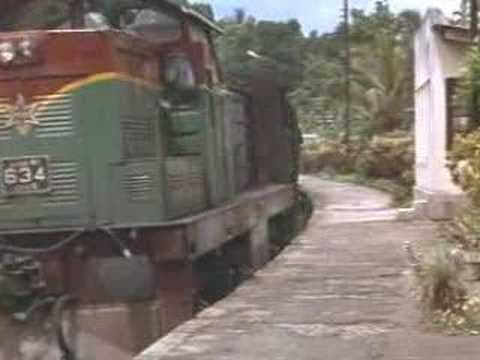 Bloodsport 3 (Trailer)