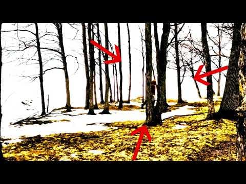BigFoot SPOTTED!!!! (NOT CLICKBAIT)