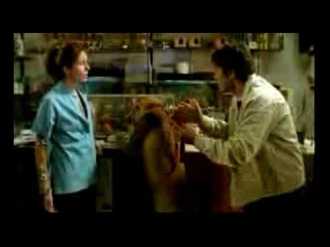 No sos vos, soy yo Trailer