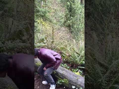 Teaser Trailer for “THE TREK”