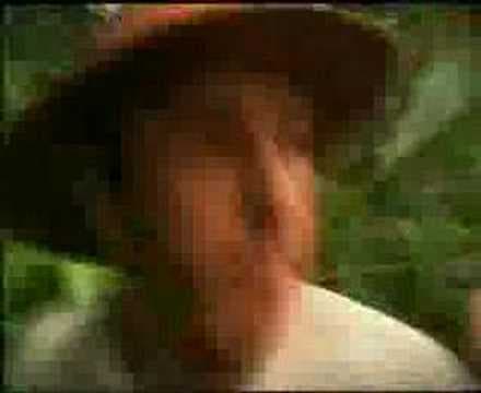 TV Ad