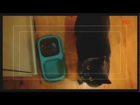 Hell Cat Trailer 2012