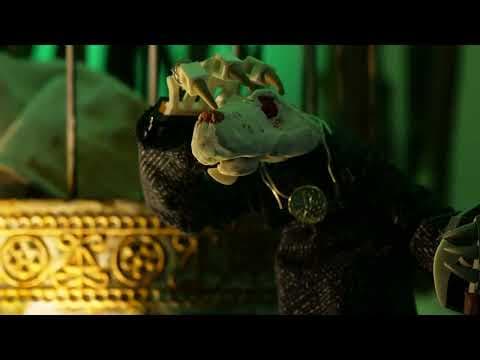 Famished Shell - Trailer