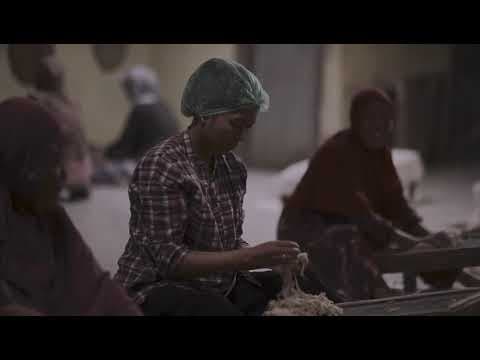 JAFF20 Trailer | For a Moment, The Moon and Stars Aligned / Kurinrera | Layar Komunitas