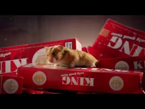 MY FRIEND RAFFI TRAILER HD