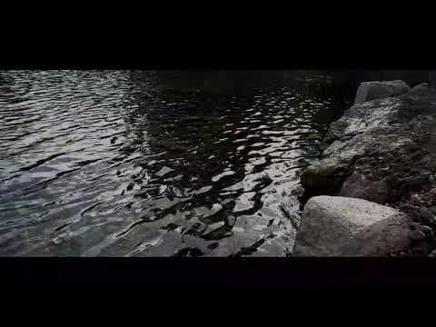 Fatherland - Official Trailer 2