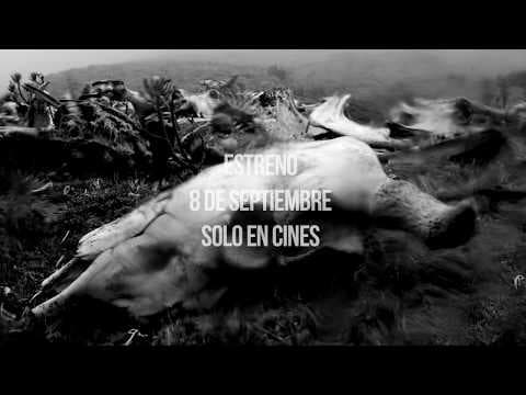 Trailer Chuquiragua