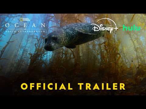 Official US Trailer
