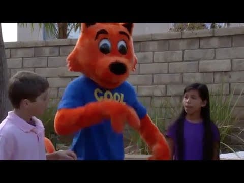 Cool Cat Finds A Gun Trailer