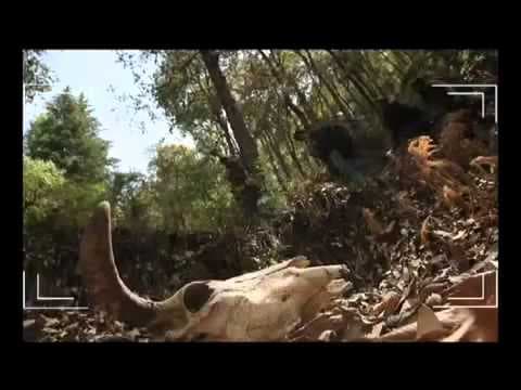 The Lost Tape Official Trailer