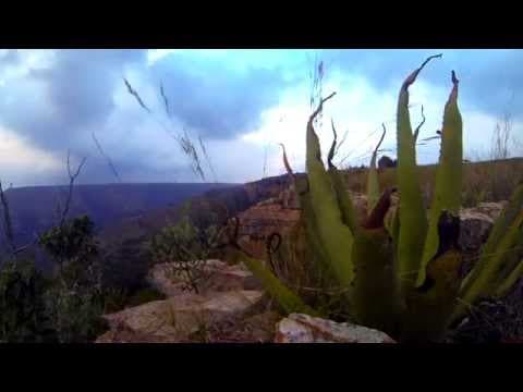 Africa Fusion Official HD Trailer