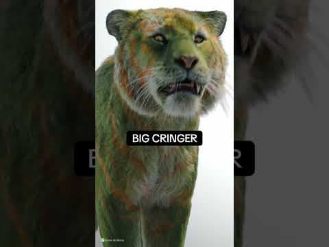 Cringer