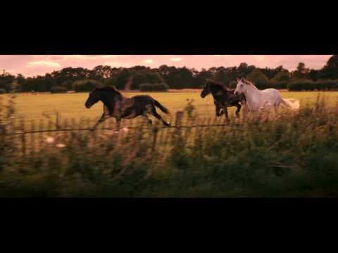 30" TV spot