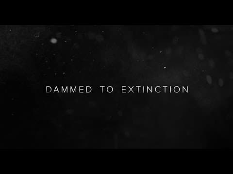 Dammed to Extinction - Official Trailer