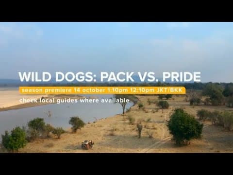 [Promo] Love Nature | WILD DOGS: PACK VS. PRIDE