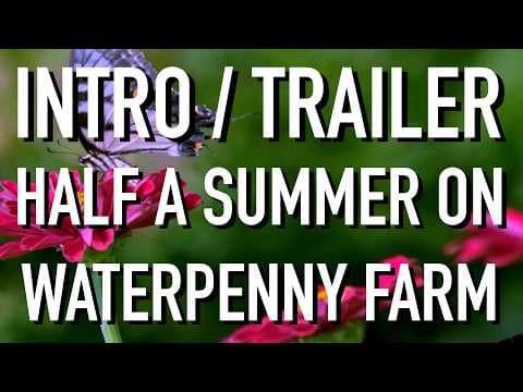 Trailer/Intro - Half a Summer on Waterpenny Farm