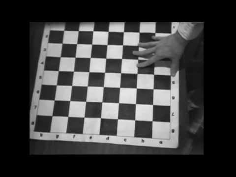 Alternative Fan Trailer