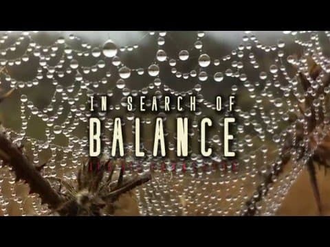 In Search of Balance - Official Trailer