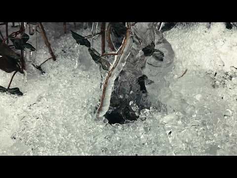 Friend of the Drifting Light - Official Trailer | Directed by Bob Kotyk | Drifting Light Films