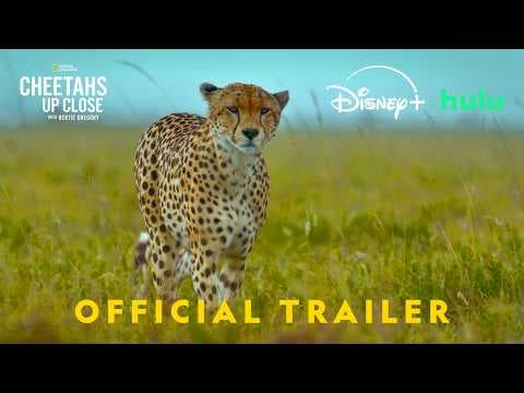 Official Promo