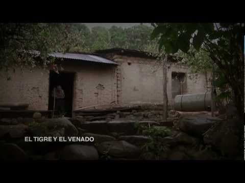 TRAILER EL TIGRE Y EL VENADO
