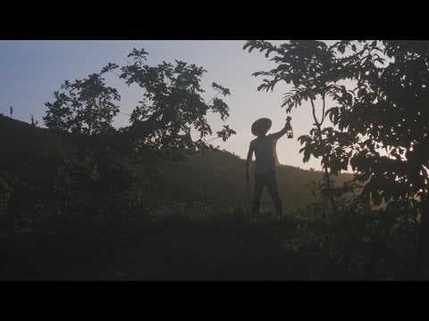 MANCHA E PLATANO - Official Trailer (HD)