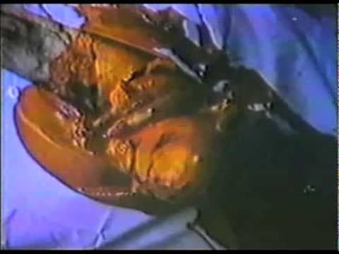 A Night to Dismember trailer
