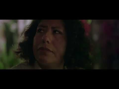 Trailer Todas las Fuerzas