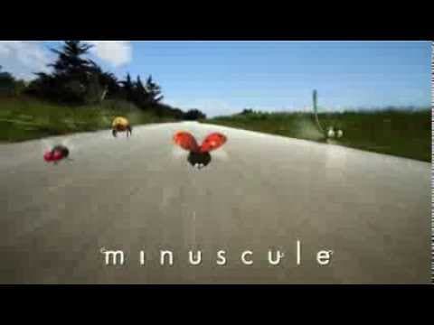 Minuscule - Spot TV