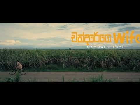 Chandarege Wife - චන්දරේගෙ Wife | Official Teaser Trailer | 2026 | Prasanna Jayakodi | Movie