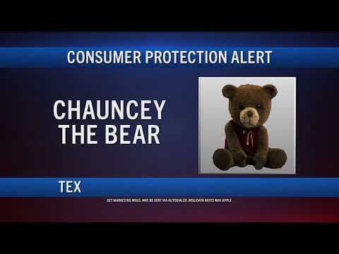ALERT: DO NOT ENGAGE WITH CHAUNCEY THE BEAR