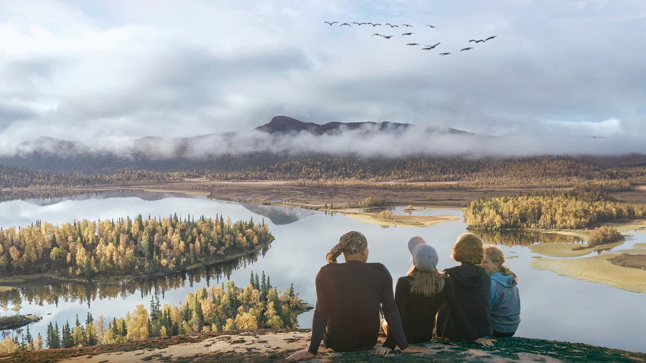 My Sweden โ A Changing Wilderness