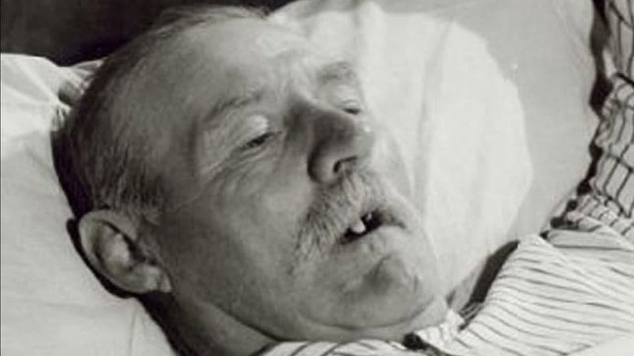Life and Death in Flanders