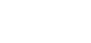 Due South